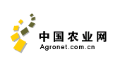 中国农业网